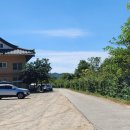 정이품송캠핑장 이미지