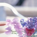 코편한한의원 이미지