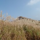 밀레 군산영동점 이미지