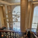 (주)호텔롯데 롯데호텔제주 | 제주 5성급 &lt;롯데호텔제주 라 세느&gt; 브런치 뷔페 솔직 후기 (전 메뉴, 시간, 가격)