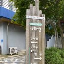 무주펜션 꿈꾸는 나무별 | 무주 수영장 펜션 꿈꾸는나무별