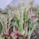 대박농장 이미지