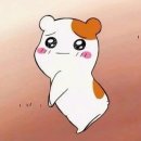 델리명가 이미지