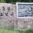 김종식 그림비 Daum카페