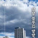 블루12양양서프