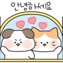 이사빛1968 이미지