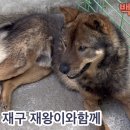 재왕 농장 이미지