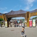 대구광역시교육청삼국유사군위도서관 | 대구 군위 삼국유사테마파크 후기