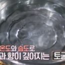 보령토굴젓갈