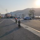 능포항 수변공원 이미지