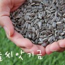공간꿈틀 이미지