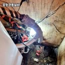 경동설비 이미지