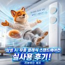 11545-11-17-19 | AF70F17D11GS 삼성 AI 무풍 클래식 스탠드에어컨 실사용 후기! 무풍 체감 차이 [리뷰하는 제프]