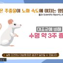 미라클푸드 이미지