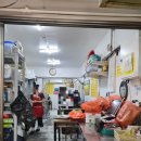 와9이닭 이미지