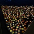 (주)복사꽃사람들 이미지