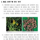 백부자의 진 위품 감별에 대한 고찰 / 펌 이미지