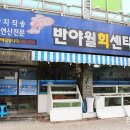 반야월회센타 | 반야월횟집 대구 동구 횟집 : 반야월회센타
