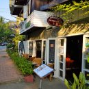 빅트리(Bigtree) 이미지