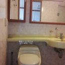 인화오벨리아 이미지