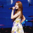 쏠라