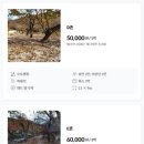 옥당걸숲속관광농원 이미지