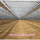 남경비닐농자재 이미지