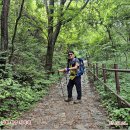 [25.7.21] 강원.원주 치악산의 상큼 산행 이미지