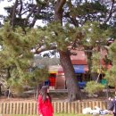 나로도민박 이미지