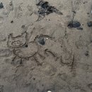 태안여자중학교 | 너에겐 내가 무슨 의미니