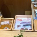 스시토와