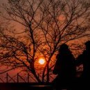 신년해맞이축제 이미지