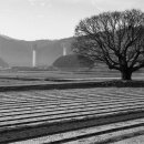 야로고등학교 이미지