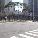 크린빌세탁 이미지