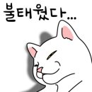 태안별빛오토캠핑장 이미지