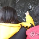 성지여자중학교 이미지