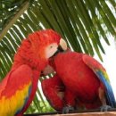 금계농장 이미지