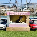 골드스푼애견풀빌라 이미지