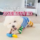 손만잡고할게 | [내돈내산] 강아지 불리스틱 홀더 바잇미 이지 바이트 그립, 삼킴 걱정 줄인 후기