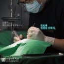 늘봄치과의원 이미지