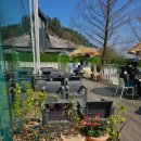 시아당