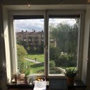 루컬렌트 이미지