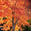 덕산면053 네이버블로그