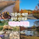 부산 해운대수목원 가을 산책로 부산동물원