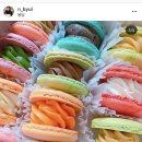 머슬카롱 이미지