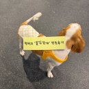 남부터미널 역 5번출구 옆 이미지