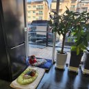 진접애견미용 이미지