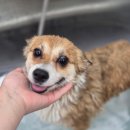 딩동댕 살롱 이미지