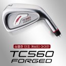 560 | 평창 골프샵 단조 아이언 입문자 추천 포틴 TC560 시타후기