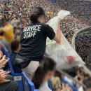 세븐일레븐 부산모라베스트점 | 일본프로야구 NPB 직관! 한신 타이거스 vs. 요미우리 자이언츠 at 도쿄돔